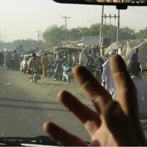 Plants: image 4 0f 20 thumb