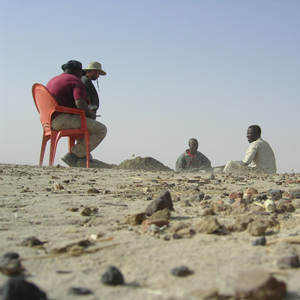 Plants: image 5 0f 20 thumb