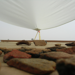 Plants: image 6 0f 20 thumb