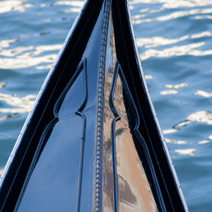 Plants: image 4 0f 20 thumb