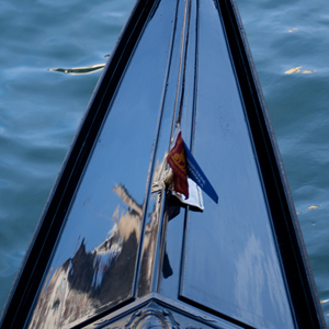 Plants: image 5 0f 20 thumb