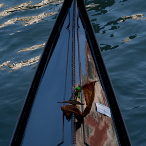 Plants: image 6 0f 20 thumb