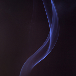 Plants: image 13 0f 21 thumb