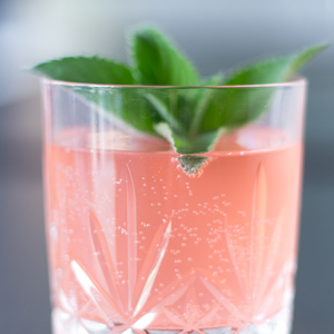 Plants: image 14 0f 21 thumb