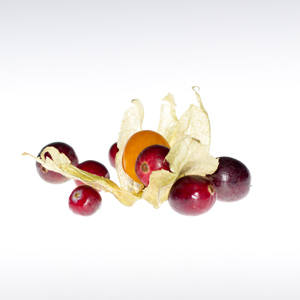 Plants: image 18 0f 21 thumb