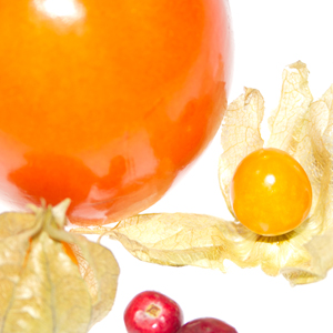 Plants: image 19 0f 21 thumb