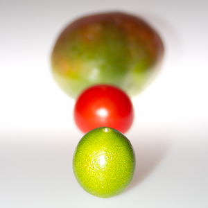 Plants: image 20 0f 21 thumb